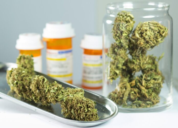La Universidad Nacional del Sur dictará Cannabis Medicinal como materia optativa