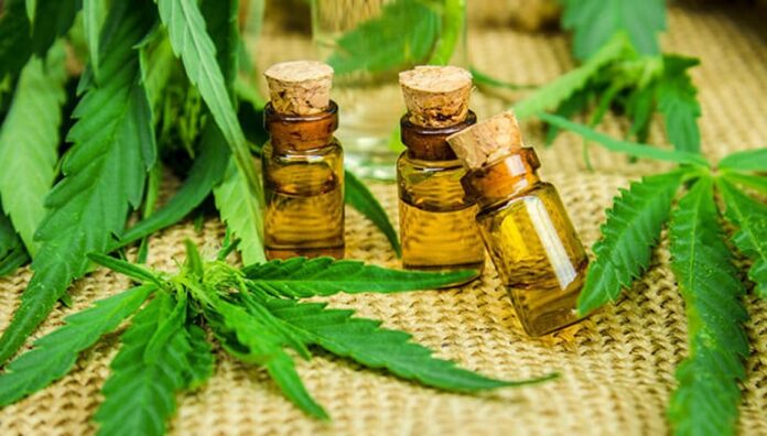 reprocann consejo consultivo cannabis medicinal