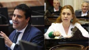 Desde el radicalismo adelantaron que insistirán con la ley de emergencia para Bahía Blanca en el Congreso