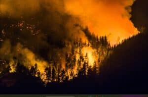 La Patagonia arde: el gobierno nacional recortó un 78% los fondos para combatir incendios