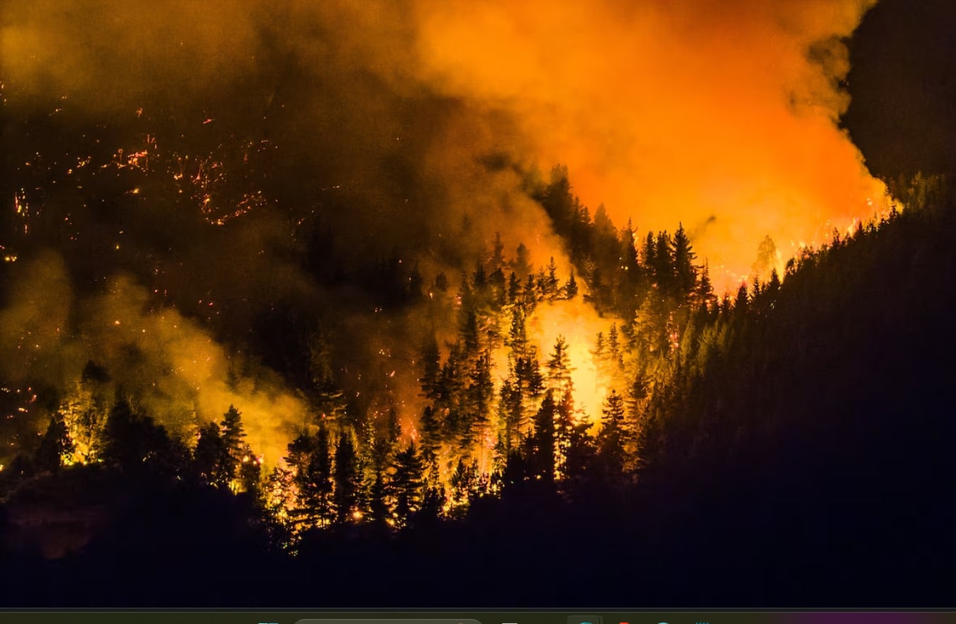 incendios patagonia enero 2026