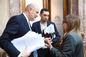 Sturzenegger y su proyecto para entregar territorio bajo la excusa de proteger la propiedad privada