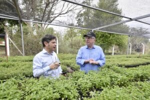 Kicillof respaldó a los yerbateros en Misiones: “su actividad cae por decisión de Milei”